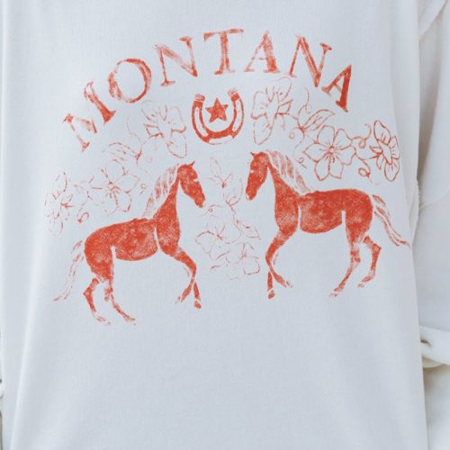 free people montana graphic camden sweatshirt 588838