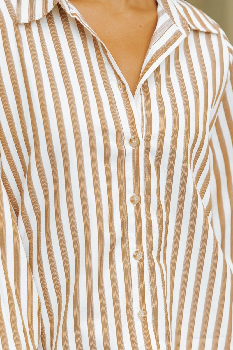 muse by magnolia camel striped button down shirt 633203